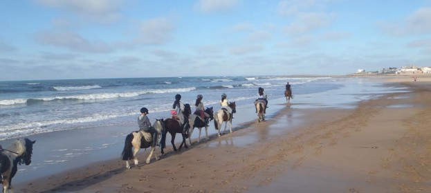 Le 6 novembre, journée plage à la Ferme Equestre