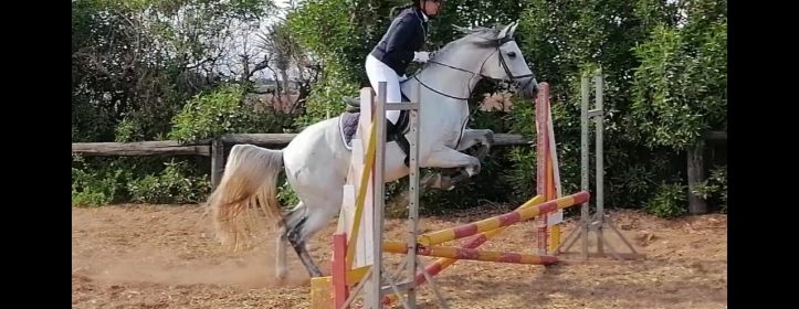 rencontres amicales equitation)