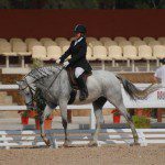 Dressage Cheval Ferme Equestre Maroc
