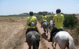Endurance Cheval Ferme Equestre Maroc (1)