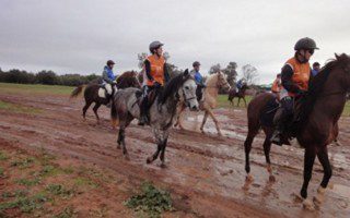 Endurance 2014 avec l'équipe de la Ferme Equestre
