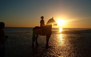 chevaux-coucher-soleil