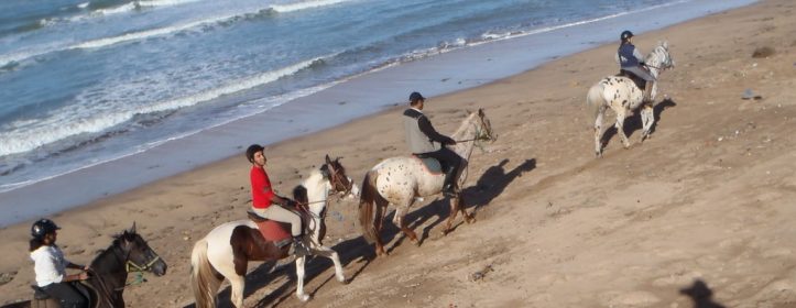 Sortie à cheval sur la plage au sud de Casablanca