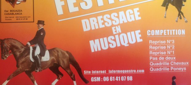 13ème édition du Festival de Dressage en musique - 2014