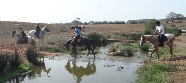La « montagne » à DAR BOUAZZA ?