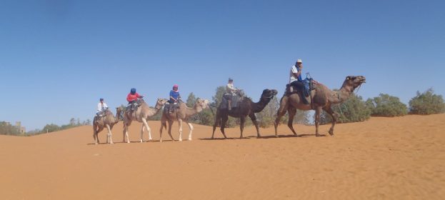 RANDONNEE au grand SUD :  Des oasis du Tafilalet aux dunes de MERZOUGA.