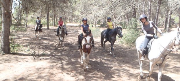 Randonnée plage et forêt !