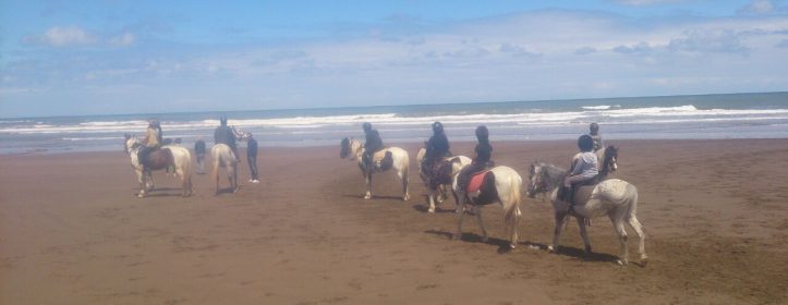 Evasion à cheval sur les plages de Dar Bouazza ! (vidéo)