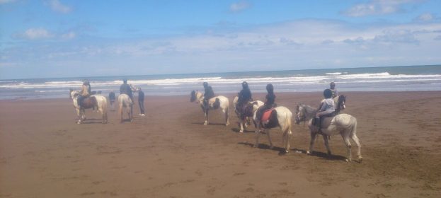Evasion à cheval sur les plages de Dar Bouazza ! (vidéo)