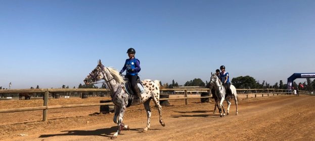 C'est la reprise aussi pour l'endurance !