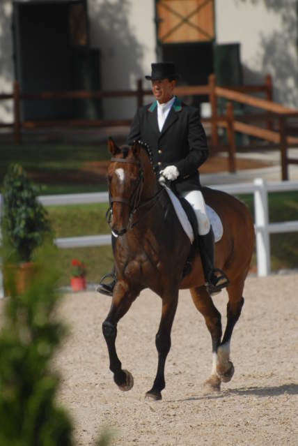 Dressage Ferme Equestre Maroc 1