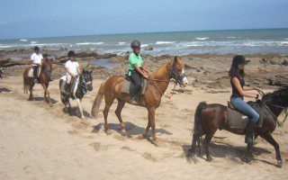 Poney Activités Séjour Ferme Equestre Maroc