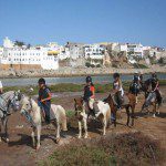 Poney Activités Séjour Ferme Equestre Maroc