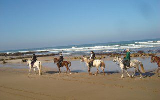 Promenade à cheval à la plage de Dar Bouazza
