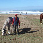 Sortie plage à cheval avec la Ferme Equestre