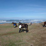 Sortie plage à cheval avec la Ferme Equestre