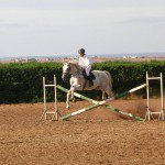Stage obstacles et gymnastique du cheval