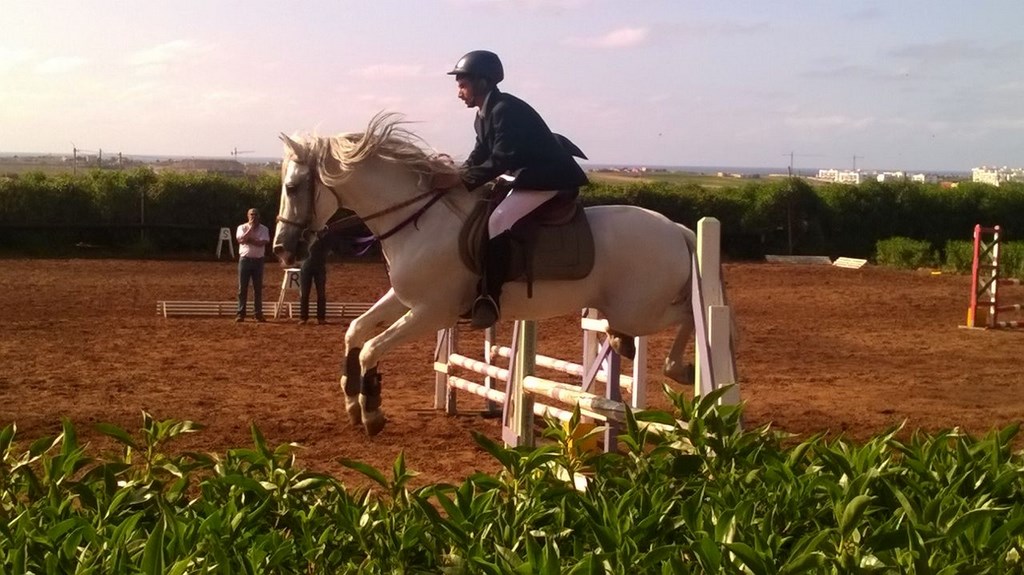 Farisses Ferme Equestre