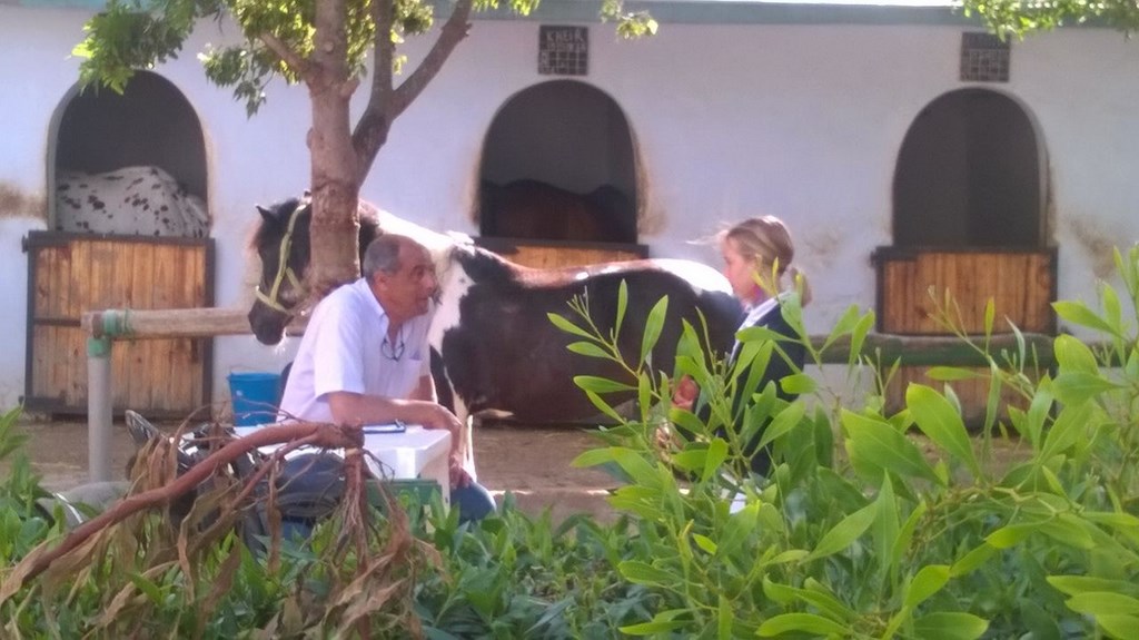Farisses Ferme Equestre