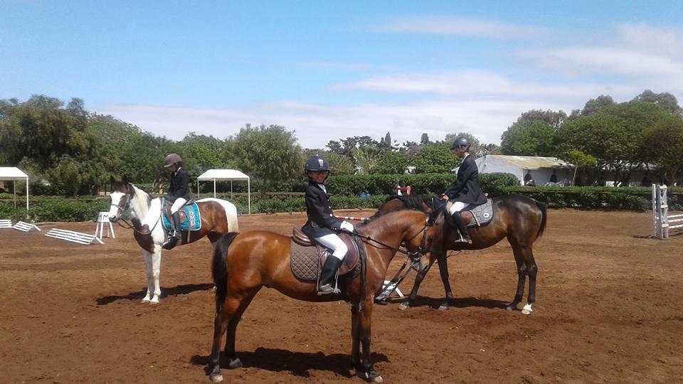 Farisses Ferme Equestre