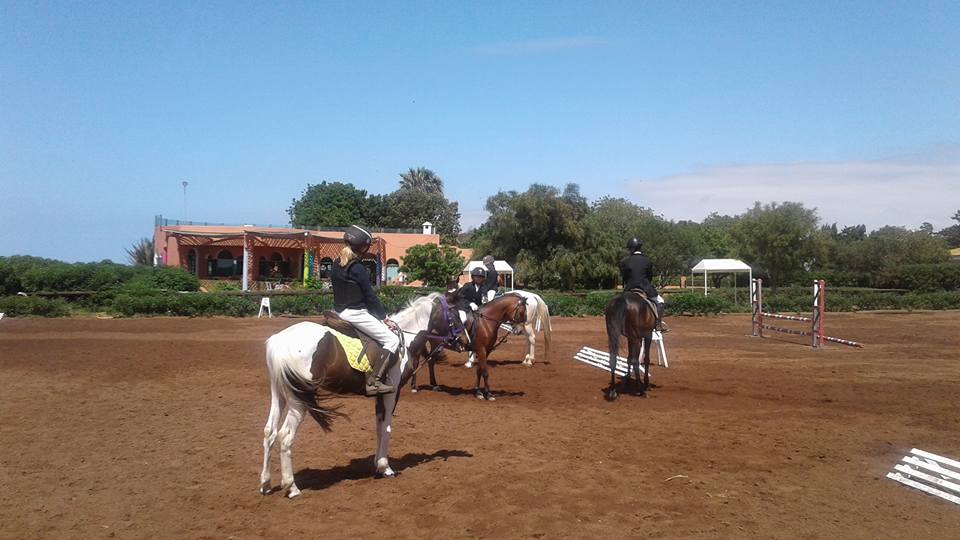 Farisses Ferme Equestre
