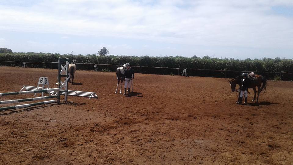 Farisses Ferme Equestre