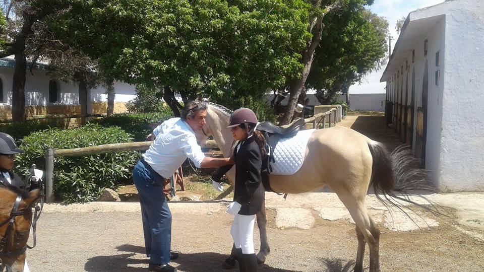 Farisses Ferme Equestre