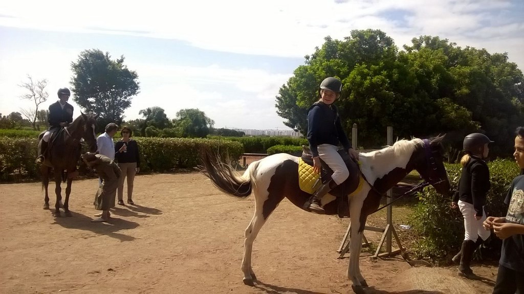 Farisses Ferme Equestre